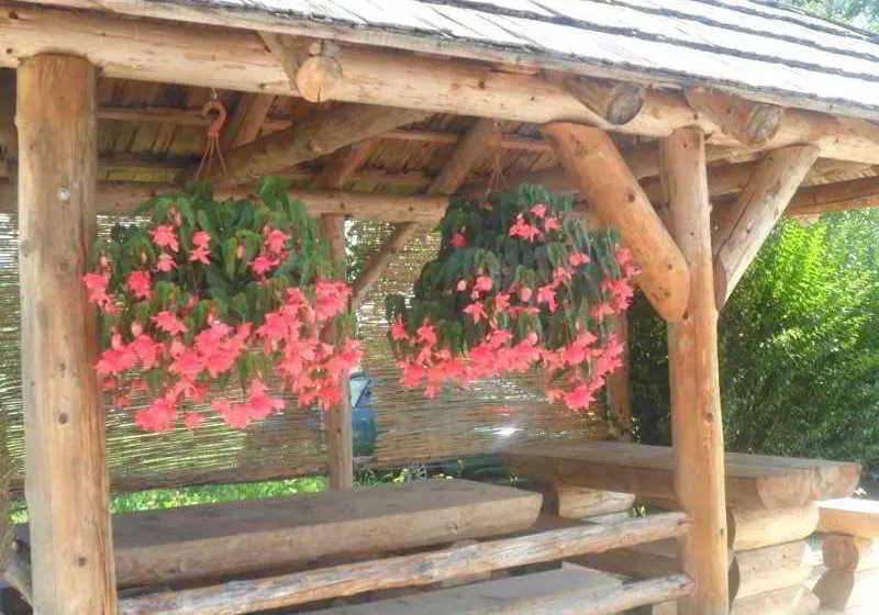 Hotel Guesthouse Sara