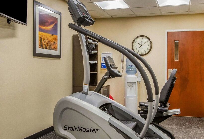 فندق Mainstay Suites Grand Island