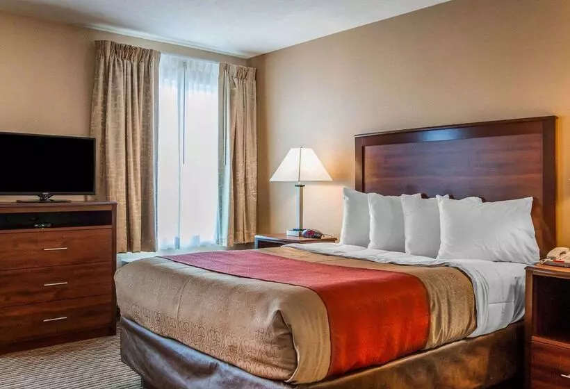 Hotel Mainstay Suites Grand Island