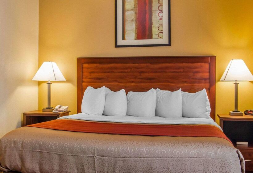 فندق Mainstay Suites Grand Island