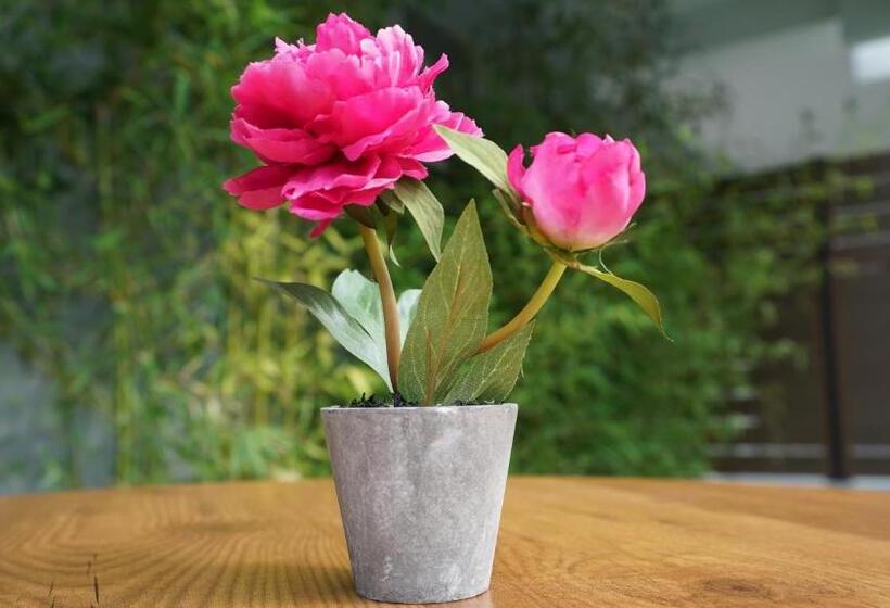 酒店 Olympus Thalassea