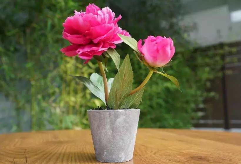 Hotel Olympus Thalassea