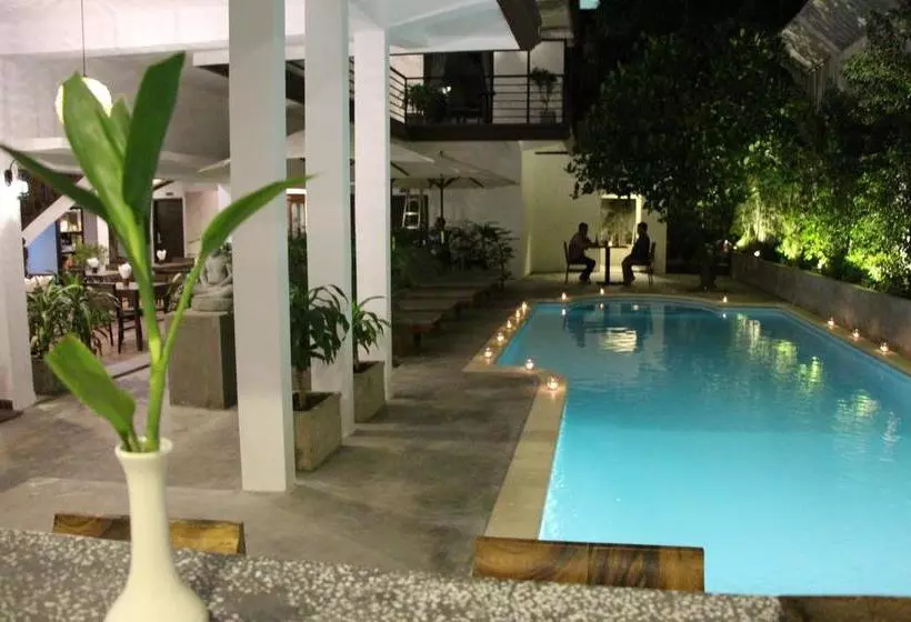 בית מלון כפרי Palm Tree Boutique