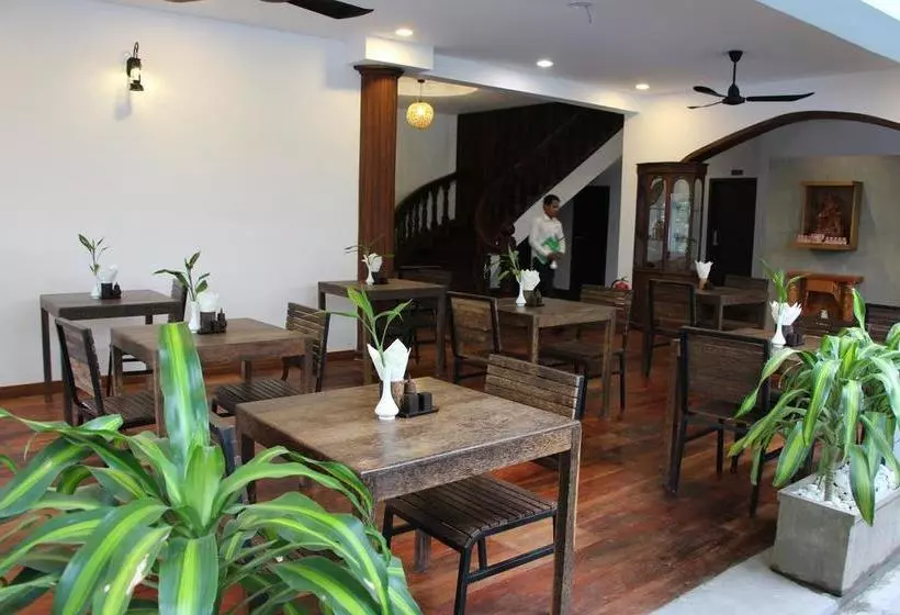 בית מלון כפרי Palm Tree Boutique