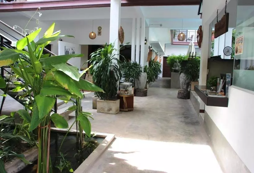 בית מלון כפרי Palm Tree Boutique