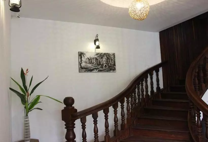 בית מלון כפרי Palm Tree Boutique