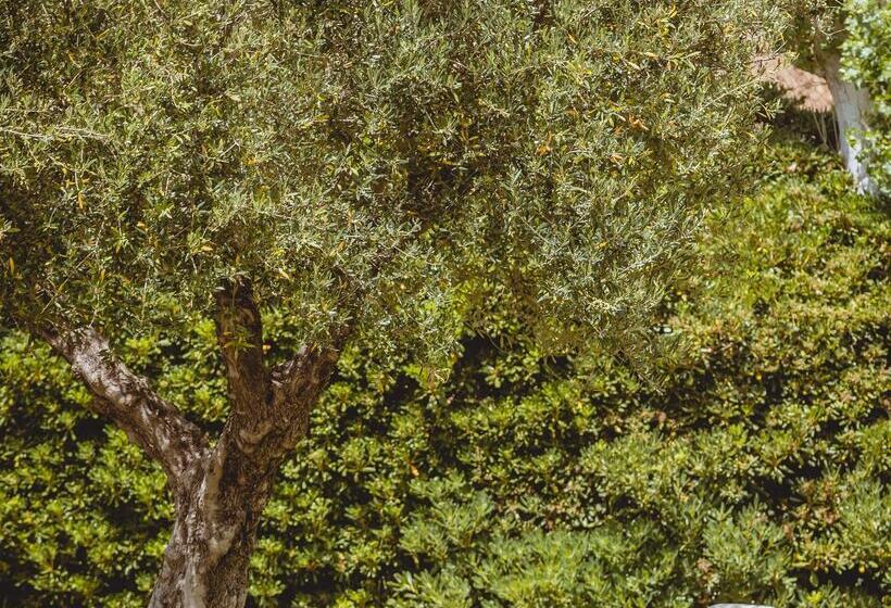 Iphigenia Mythic Retreat