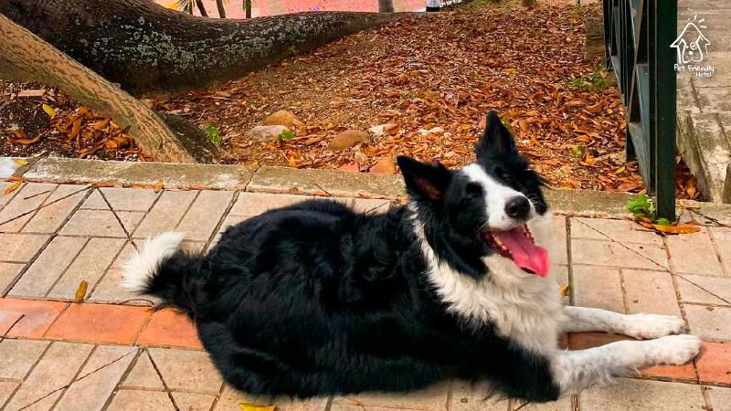 On Vacation Girardot Resort