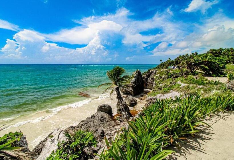 هتل Amelia 104 Studio