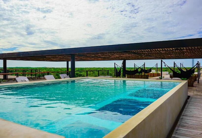 هتل Amelia 104 Studio