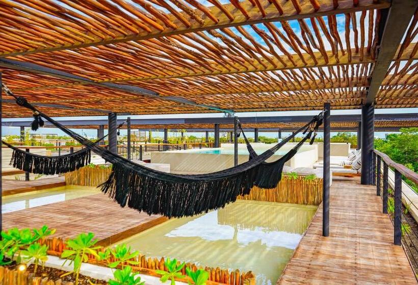 هتل Amelia 104 Studio