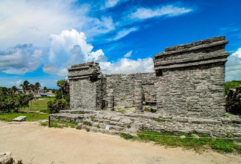 هتل Amelia 104 Studio