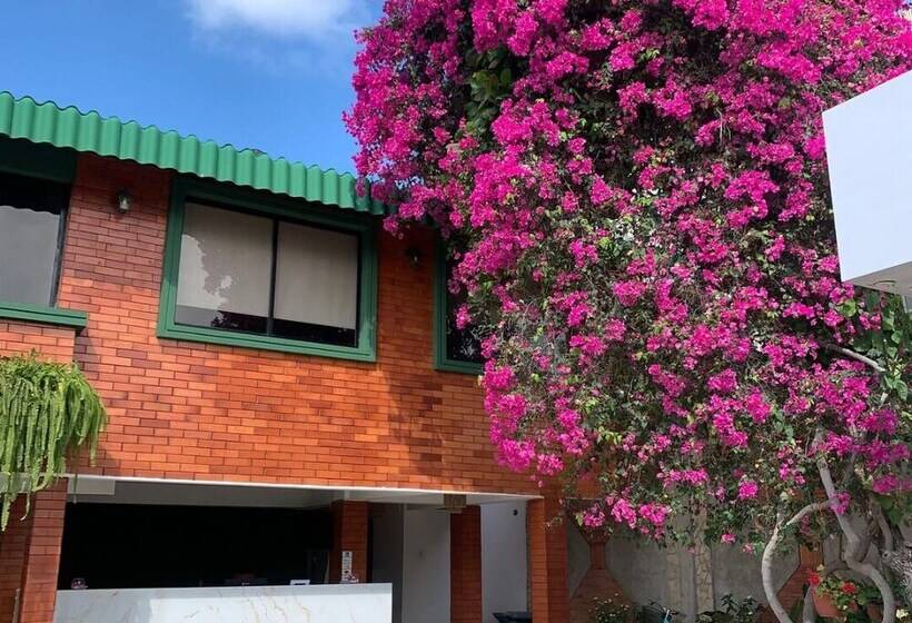 호텔 La Mar Playas