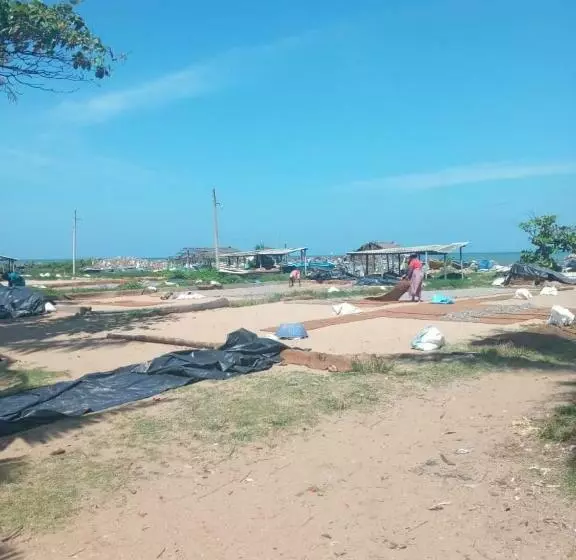 Retkeilymaja Curly Place