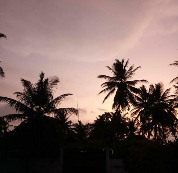 הוסטל Curly Place