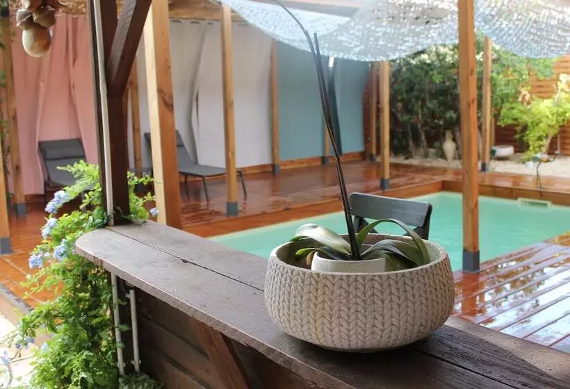 Aamiaismajoitus (B&B) Les 2 Drôles D Oiseaux