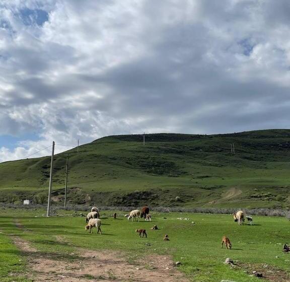 پانسیون гостевой дом темирлан