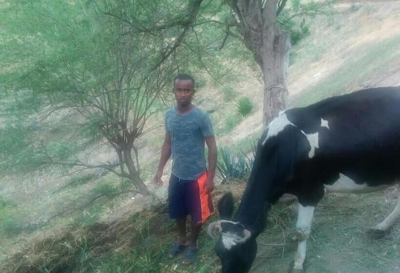 تختخواب و صبحانه Kasa Di Terra