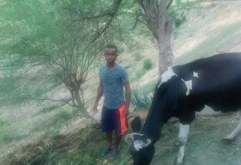 تختخواب و صبحانه Kasa Di Terra