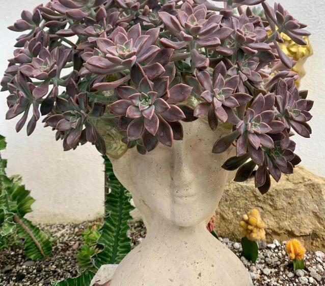 בית מלון כפרי Sunshine Stay Panglao