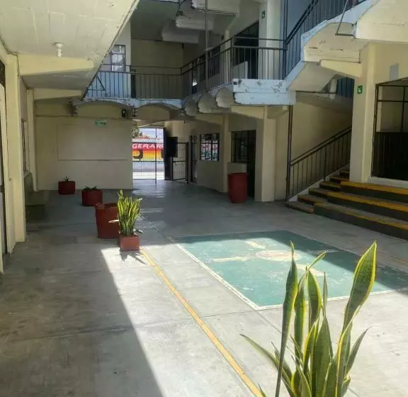 Nomada Hostel Oaxaca   Vive Nómada!