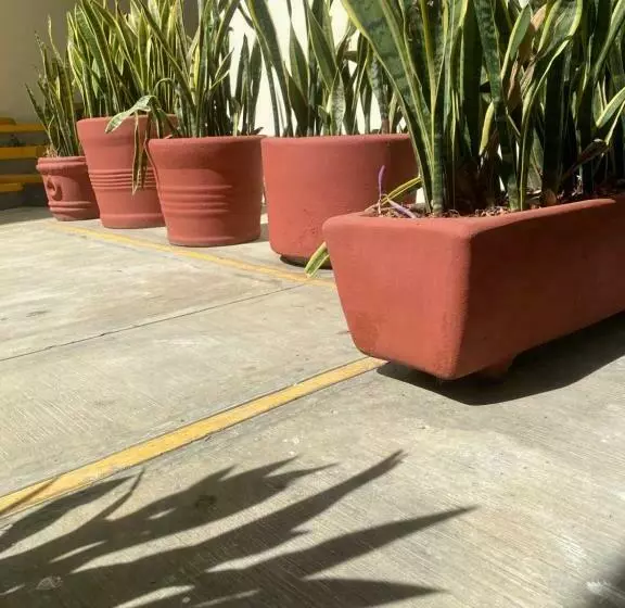 Nomada Hostel Oaxaca   Vive Nómada!