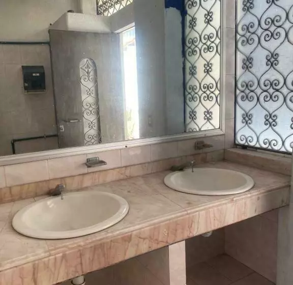 Nomada Hostel Oaxaca   Vive Nómada!