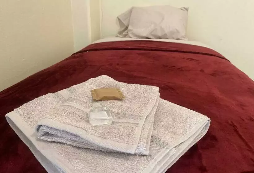 Nomada Hostel Oaxaca   Vive Nómada!