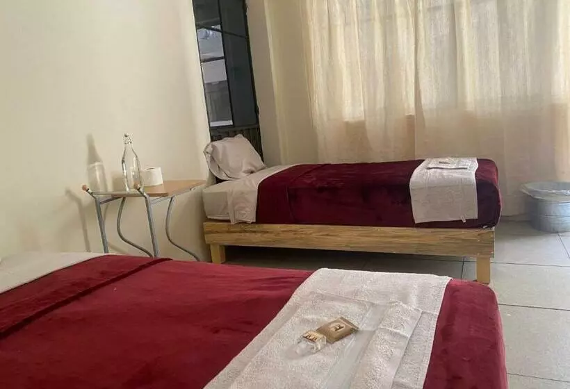 Nomada Hostel Oaxaca   Vive Nómada!