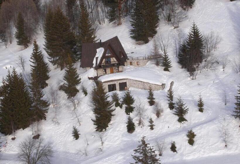 تختخواب و صبحانه Le Chalet Pointu De Capucine Chambre D Hote Arcs 1600