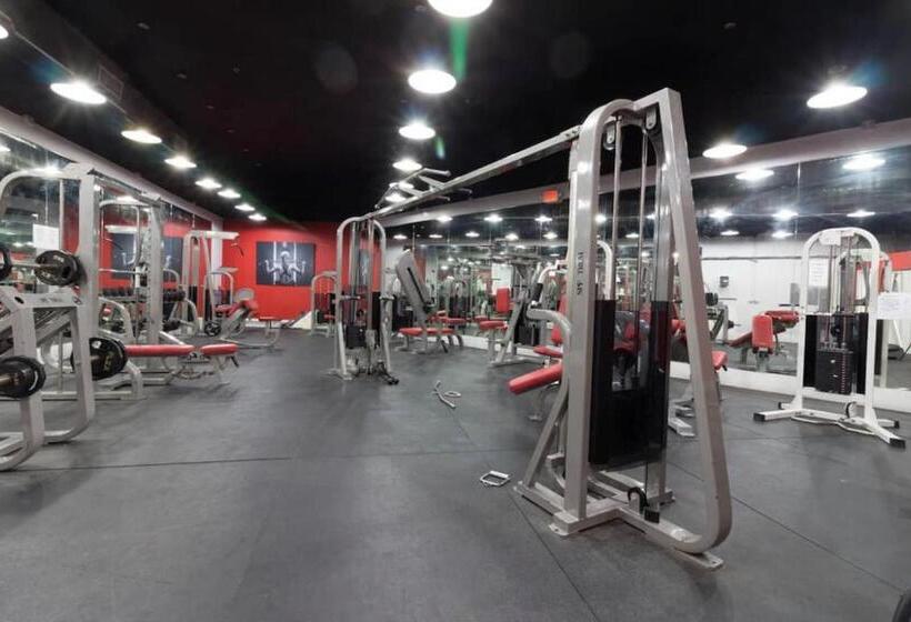 11th Seven Heaven Miami Unforgettable Ocean Front Free Parking