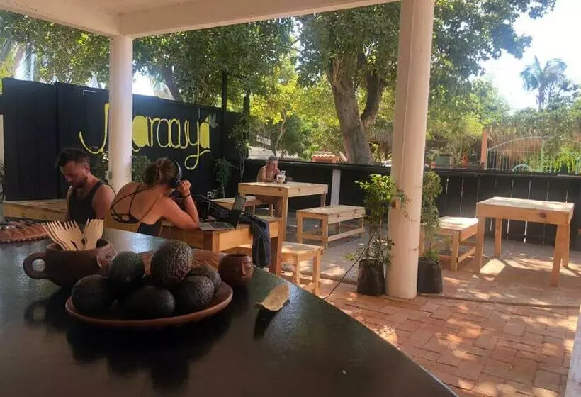 Retkeilymaja Aloevera Mixtli Zipolite