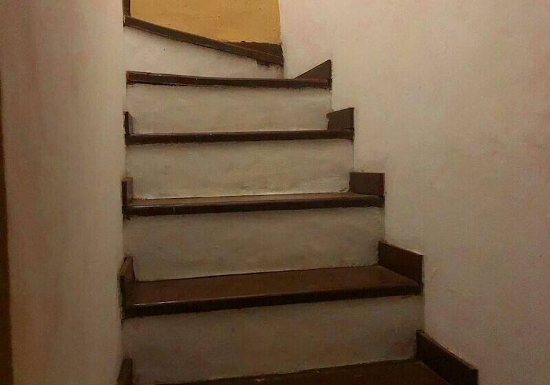 Bed and Breakfast Hostel Agua De Coco