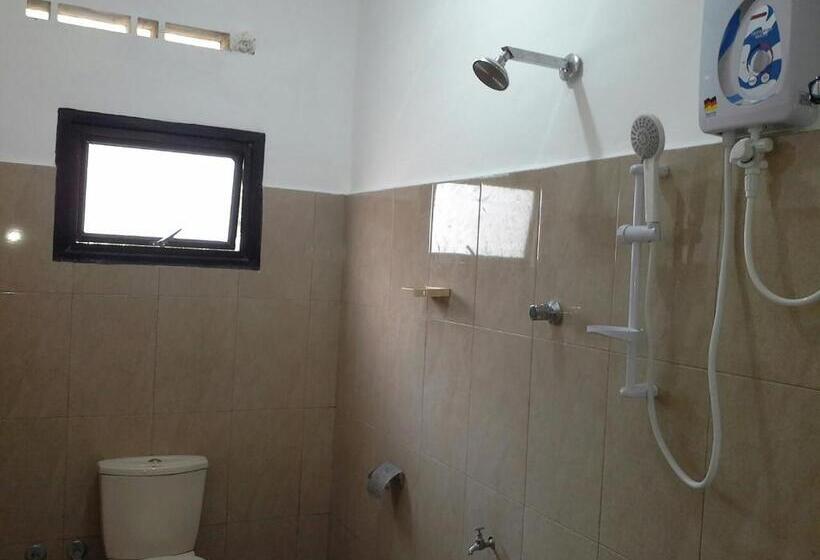 بنسيون Yaarl Holiday