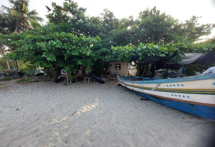 Schronisko Beachcampers Only For Foreign Traveler S