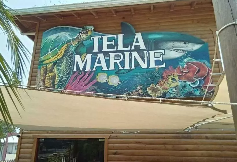 Hostel Casa Verde, Tela Atlantida