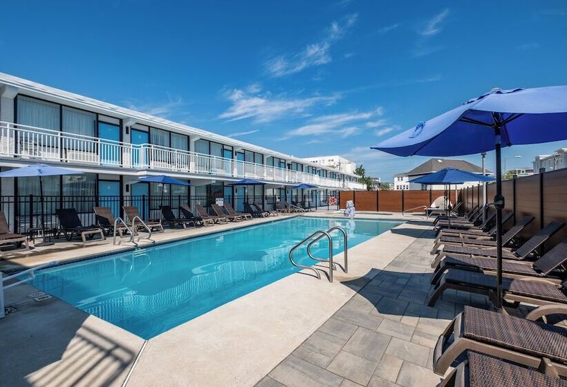 ホテル The Surf Club