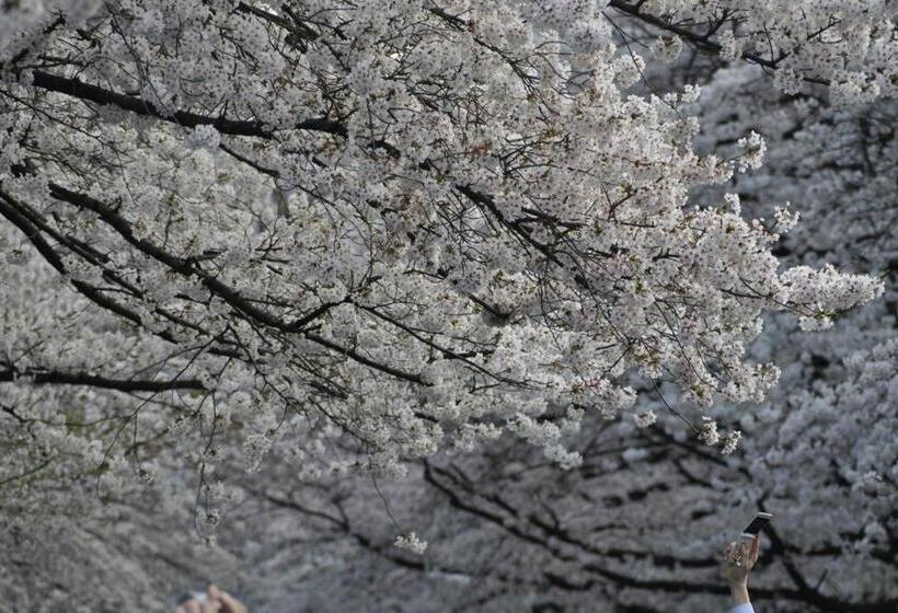 Tora Hotel Sensoji 寅ホテル 浅草寺