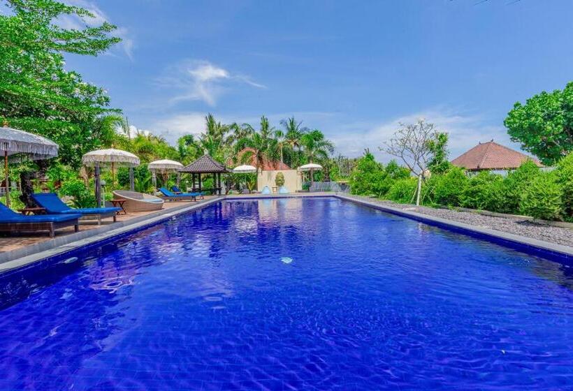 Пансион Grand Ball Beach Garden