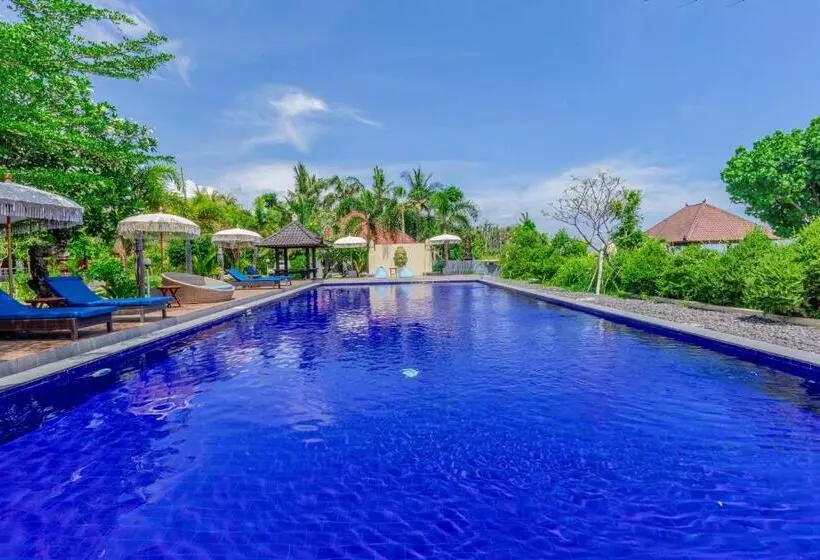 Majatalo Grand Ball Beach Garden