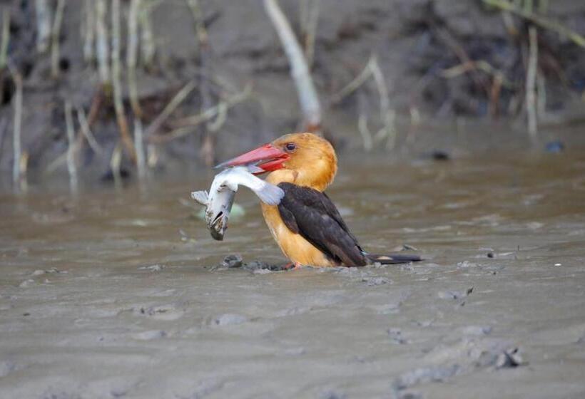 Hotel Bhitarkanika Eco Resorts River Side