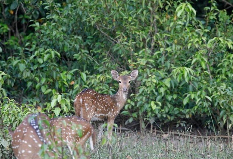 Hotel Bhitarkanika Eco Resorts River Side