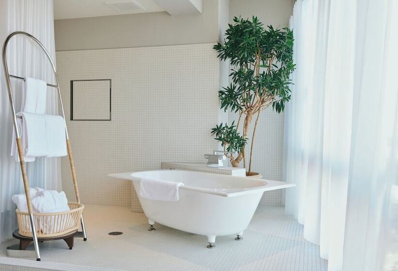 בית מלון כפרי Korinkyo