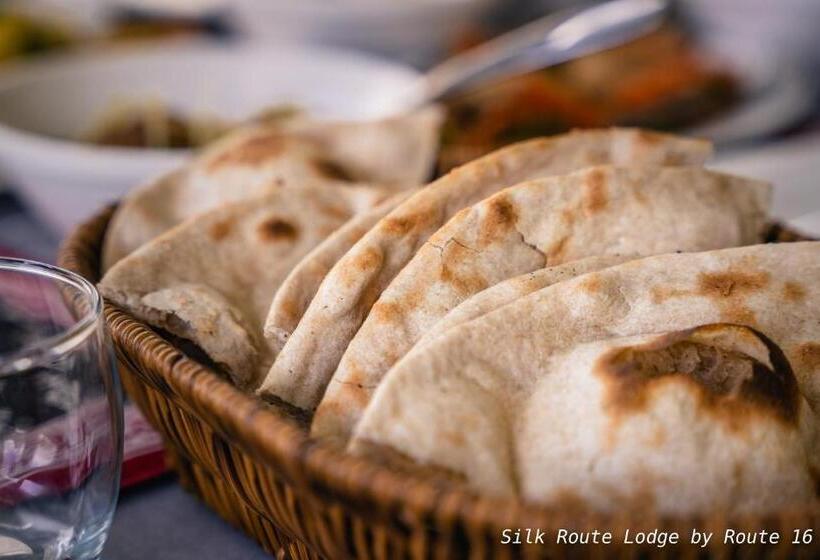 هتل Silk Route Lodge