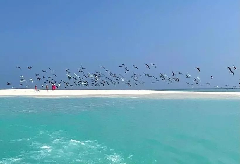 Ocean Voice Beach Resort & Diving