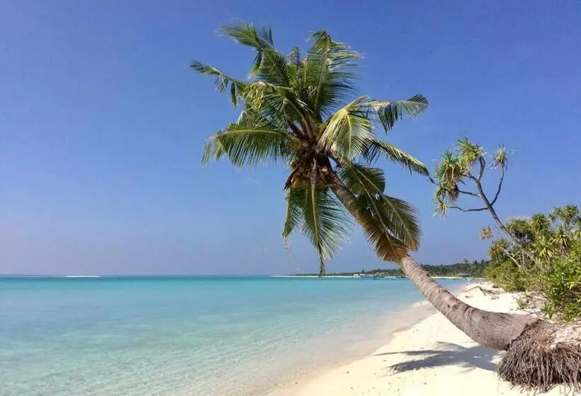 Ocean Voice Beach Resort & Diving