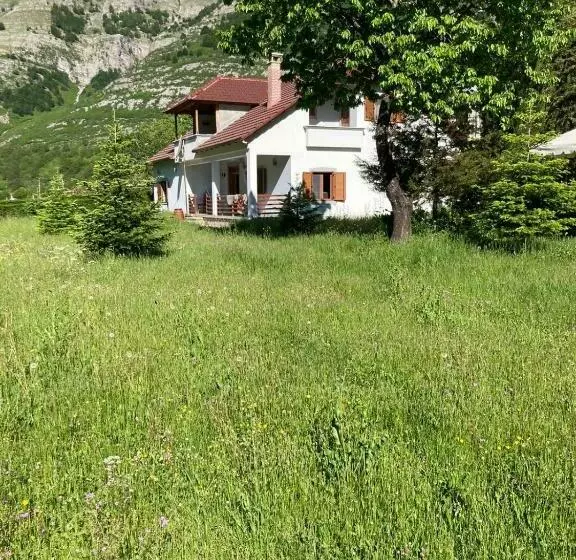Pensiune Paja Guesthouse   Camping