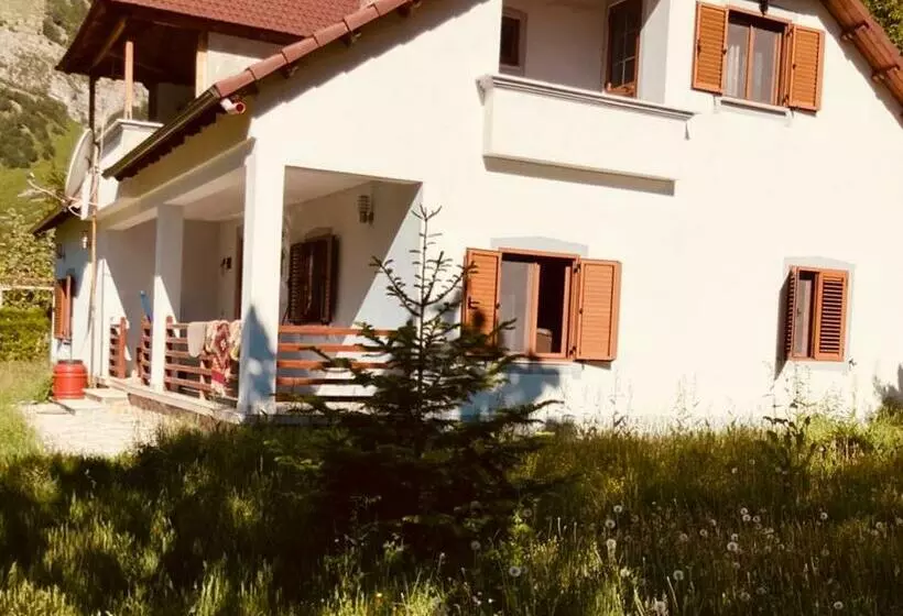 Pensiune Paja Guesthouse   Camping
