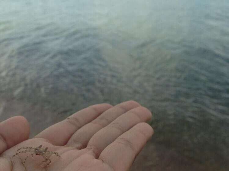 Baan Sala Lung Dam Fisherman Village