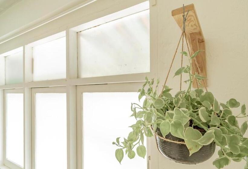 בית מלון כפרי Cooper